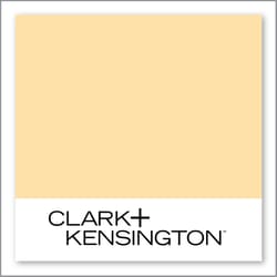 Clark+Kensington Pineapple Smoothie 18D-3