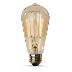 Feit The Original 60 W ST19 Vintage Incandescent Bulb E26 (Medium) Soft White 1 pk