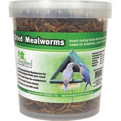 Songbird Essentials All Wild Birds Dried Mealworm Bird Seed 7 oz