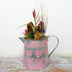 Eve's Garden 14 in. H X 7.5 in. W X 9 in. D Ceramic Ornamental Watering Can Pink/Silver