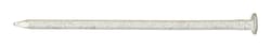 Ace 6D 2 in. Box Hot-Dipped Galvanized Steel Nail Flat Head 1 lb