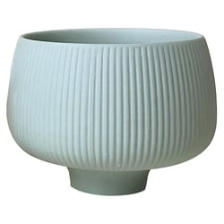 Chive Lilo 6 in. D Ceramic Cachepot Olive