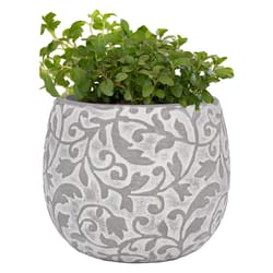 Trendspot Hayden 5.1 in. H X 6.1 in. W X 6.1 in. D X 6 in. D Ceramic Planter Tan