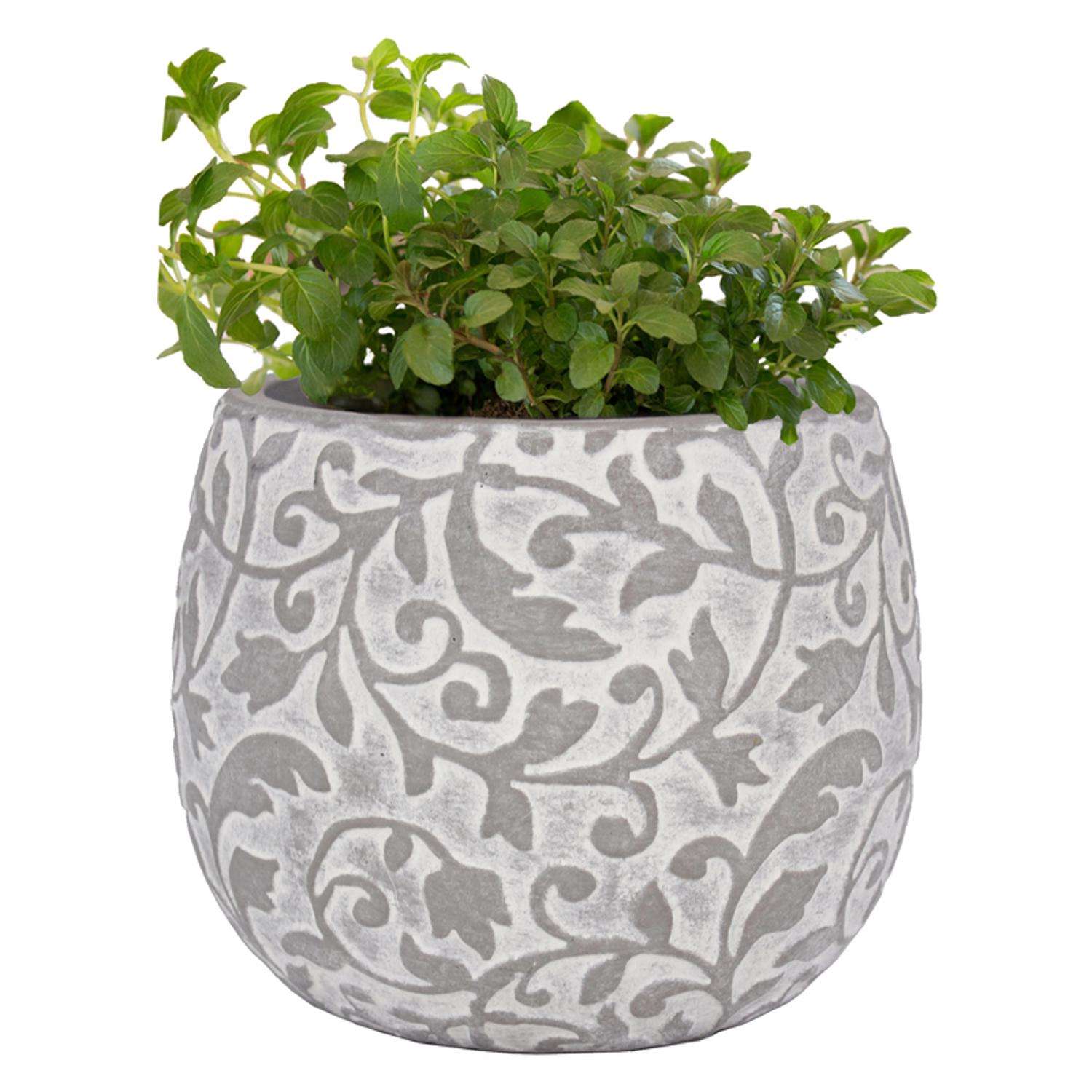 Trendspot Hayden 5.1 in. H X 6.1 in. W X 6.1 in. D X 6 in. D Ceramic  Planter Tan