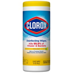 Clorox Fresh Scent Bleach Free Disinfecting Wipes - 35ct : Target