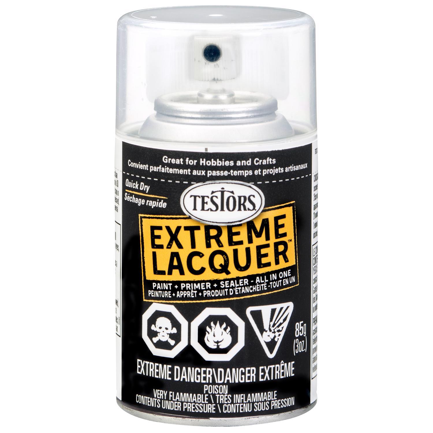 Testors Extreme Lacquer Gloss Clear Spray Paint 3 Oz - Ace Hardware