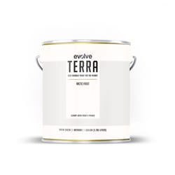 Evolve Terra Satin Arctic Frost Paint and Primer Interior 1 gal