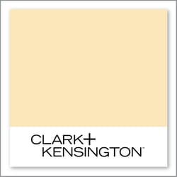 Clark+Kensington Lemon Twist 18D-2