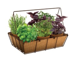 Panacea 14 in. H X 14 in. W Steel Rustic Planter Brown