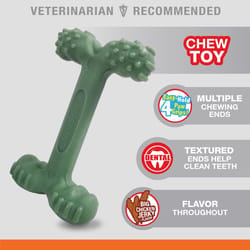 Nylabone Power Chew Chicken Jerky Dental Chews For Dogs 9.5 in. 1 pk