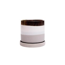 Chive Minute 5 in. D Ceramic Flower Pot Mocha Cement