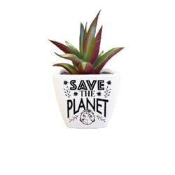 Sentiment Succulents 4 in. H X 2.25 in. L Multicolored Plastic Planter