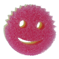 Scrub Daddy PowerPaste and Scrub Mommy Sponge Polymer Foam Sponge