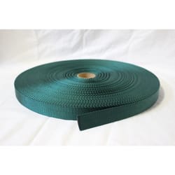 Bulk-Strap 1 in. W X 150 ft. L Green Webbing 1000 lb