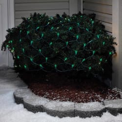 Celebrations LED Mini Green 100 ct Net Christmas Lights 24 ft.