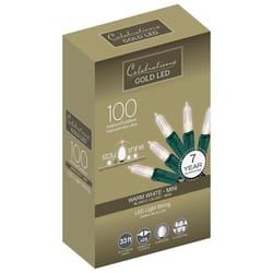 Celebrations Gold LED Mini Clear/Warm White 100 ct String Christmas Lights 33 ft.