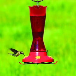 Perky-Pet Hummingbird 16 oz Plastic Pinch Waist Nectar Feeder 4 ports