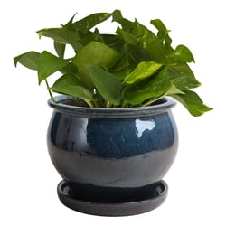 Trendspot Studio 6.3 in. H X 8 in. W X 8 in. D X 8 in. D Ceramic Planter Blue