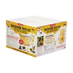 Little Giant Beginner Hive Kit