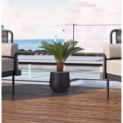 DW Silks 38 in. H X 33 in. W X 33 in. D Plastic Sago Palm in Ribbed Planter Black