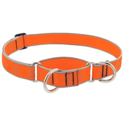 LupinePet HighLights Orange Diamond Nylon Dog Martingale