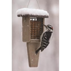 Birds Choice Woodpecker 0.5 lb Plastic/Screen Suet Suet Basket