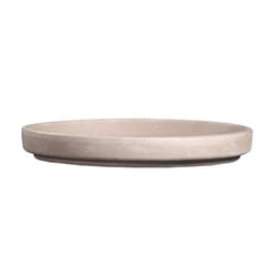 Border Concepts 3.5 in. D Terracotta Plant Saucer Granite