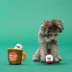 Bark Multicolored Sniff Miss Plush Dog Toy 1 pk