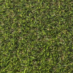 SYNLawn Petscape 15 ft. W X 5 ft. L Green Polyethylene Grass Mat