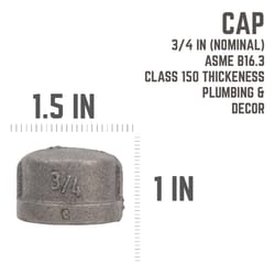 STZ Industries 3/4 in. FIP each Black Malleable Iron Cap