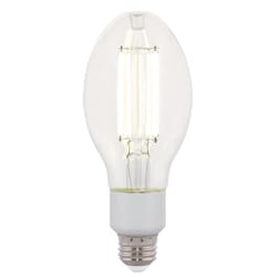 Westinghouse ED23.5 E26 (Medium) Filament LED Bulb Daylight 125 Watt Equivalence 1 pk