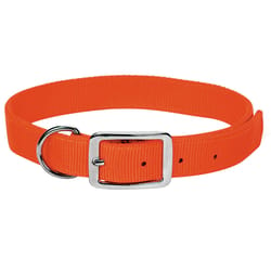 Boss Pet Guardian Gear Orange Nylon Dog Hunting Dog Collar Large