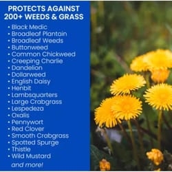 BioAdvanced All-In-One Weed and Crabgrass Killer RTU Liquid 24 oz