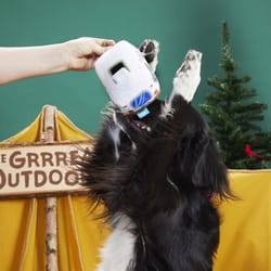 Bark Hairstream Trailer Plush Dog Toy 1 pk