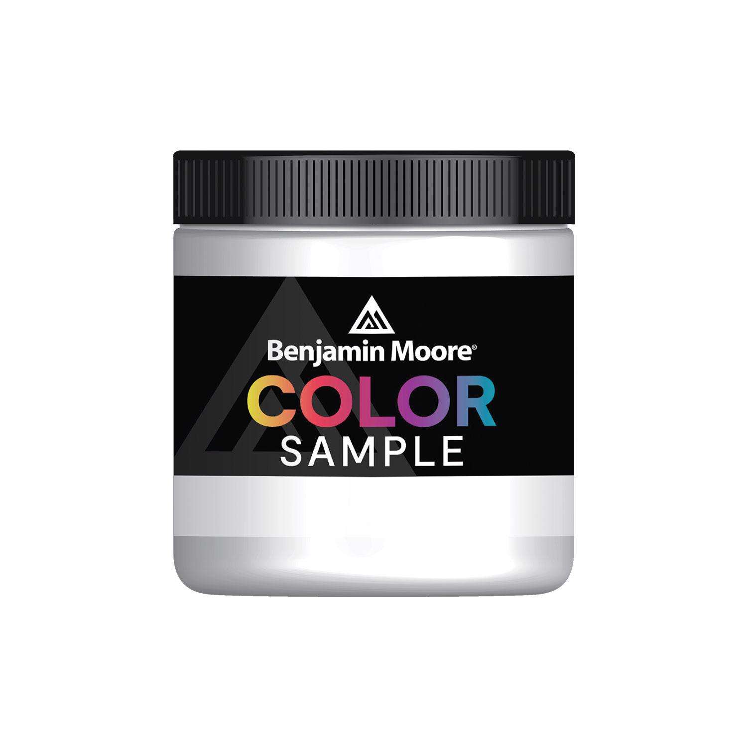 Benjamin Moore Eggshell Base 1 Paint Sample Interior 8 oz Ace Hardware