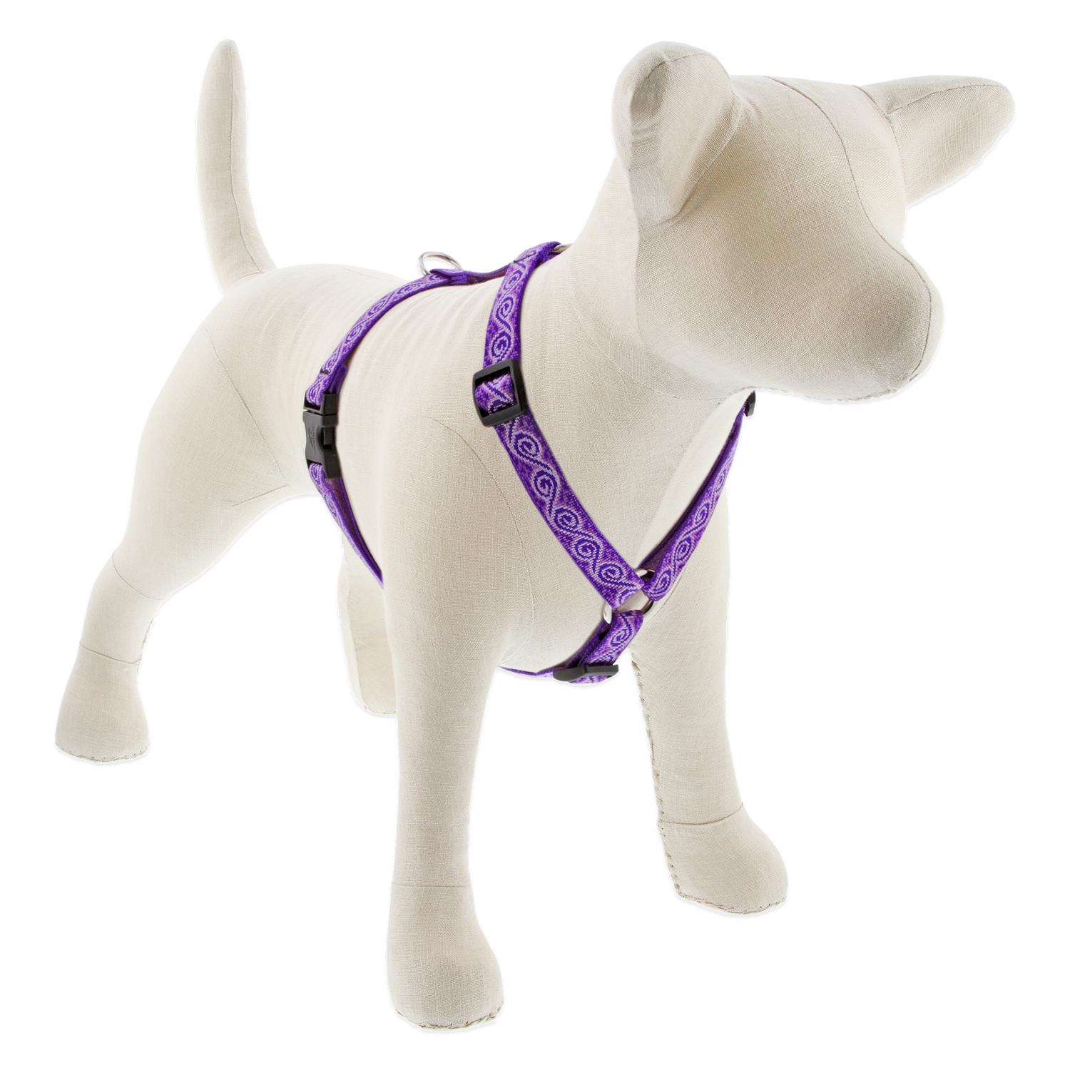 How to put on clearance a lupine dog harness