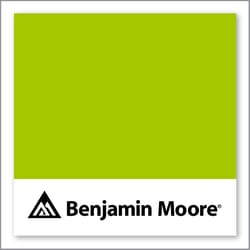 Benjamin Moore Margarita 2026-20