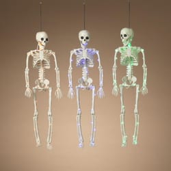 Gerson 24 in. Skeletons Halloween Decor