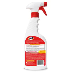 IronOut 16 oz Rust Remover