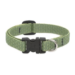 LupinePet Eco Moss Moss Recycled Plastic Dog Adjustable Collar