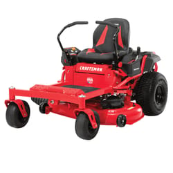 Toro Recycler 22 in. 150cc Gas Push Lawn Mower - Ace Hardware