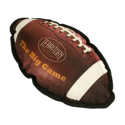 Territory Multicolored Polyester Big Game Football Squeak Dog Toy All Pet Sizes 1