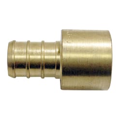 Apollo 1/2 in. PEX Barb in to X 1/2 in. D Female Sweat Brass Adapter