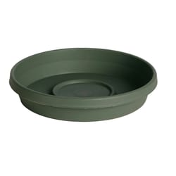 Bloem Terratray 1.2 in. H X 5.5 in. D Resin Traditional Tray Thyme Green