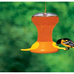 Songbird Essentials Songbird Essentials Oriole 30 oz Plastic Oriole Feeder Bird Feeder 3 ports