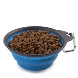 Dexas Blue Rubber 2 cups Pet Travel Feeder For All Pets