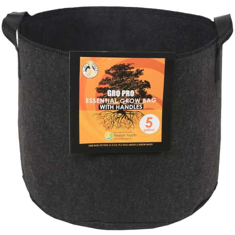 see it gro  Small Grow Bags With Big Benefits