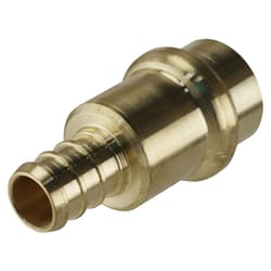 Apollo PEX 1/2 in. PEX Barb in to X 1/2 in. D Press Brass Adapter