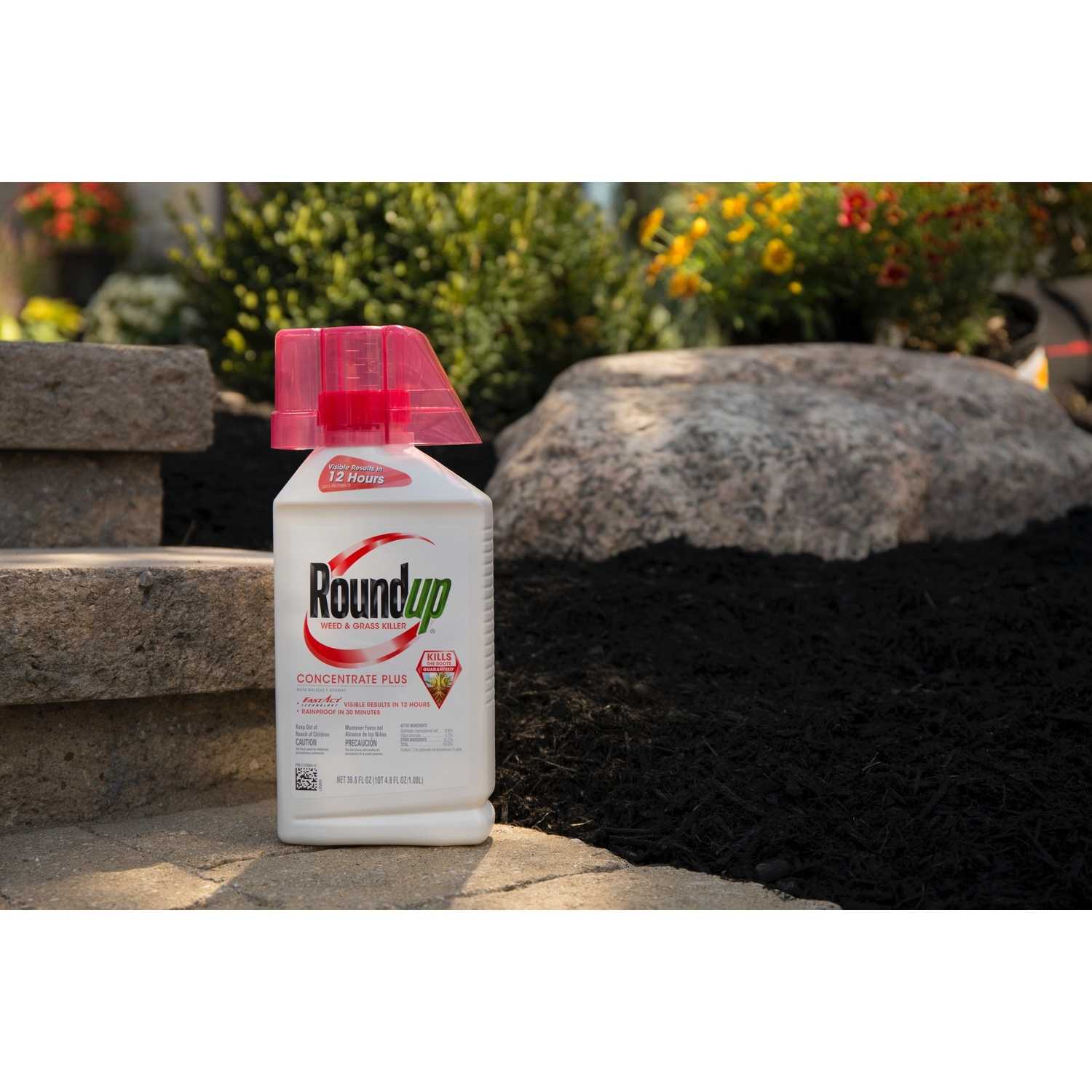 Roundup Weed and Grass Killer Concentrate 36.8 oz. Ace Hardware