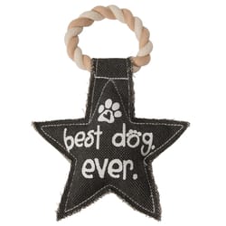 Pavilion Pavilion's Pets Black/Gray Cotton Star Squeak Dog Toy 9.5 in. 1 pk